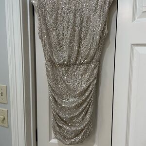 Elegant Silver Sequin Dress